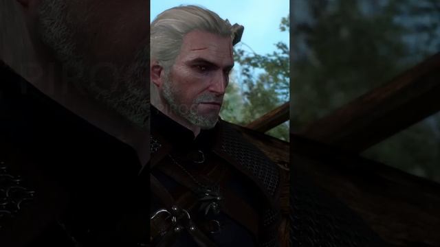 Рисунок для тролля  Ведьмак 3 shorts witcher ведьмак мемы игры рекомендации тролль