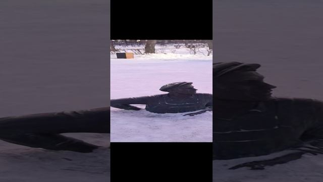 Учиться, учиться и ещё раз учиться...