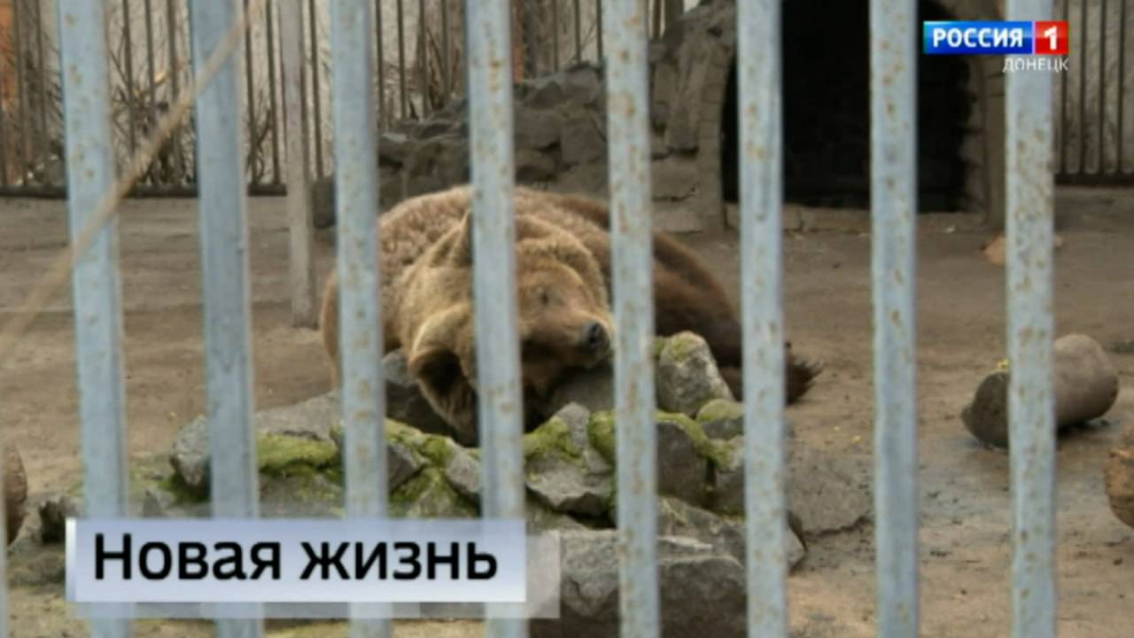 В Мариуполе зоопарк стал символом надежды на светлое будущее