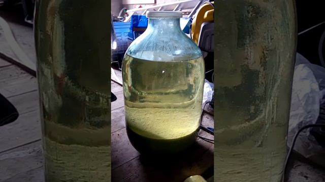 Осветления браги на 2 й раз ) супер эффект )