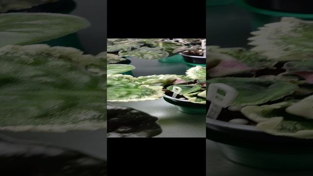Отвечаю на вопросы из предыдущего видео.