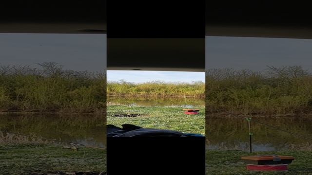 утро на рыбалке ;)