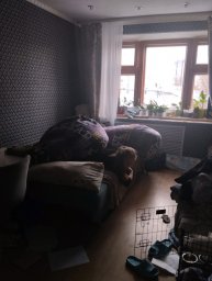 правда о Василисе**