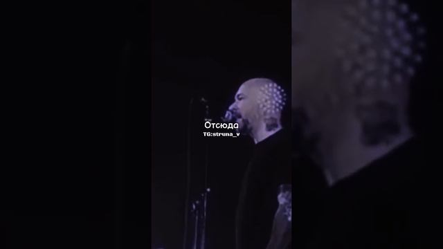 1000013513.mp4