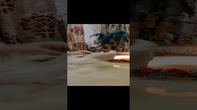 1000049063.mp4