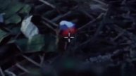 Российский военный водрузил триколор в освобожденном Нескучном ДНР: видео