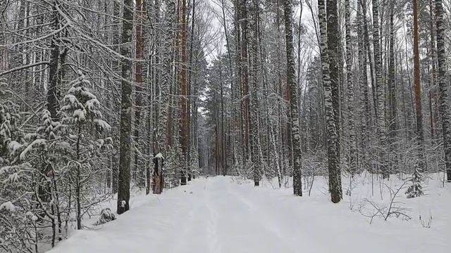 Россия снежная.