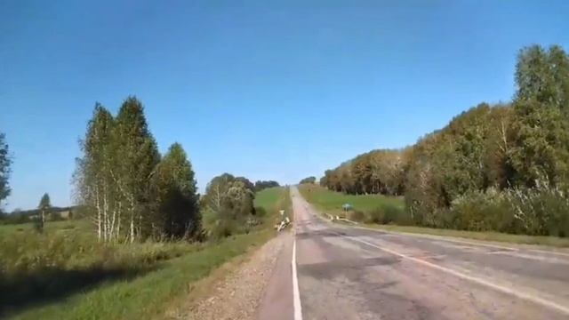 На Кытманово. Бобровый беспредел, строят плотины.