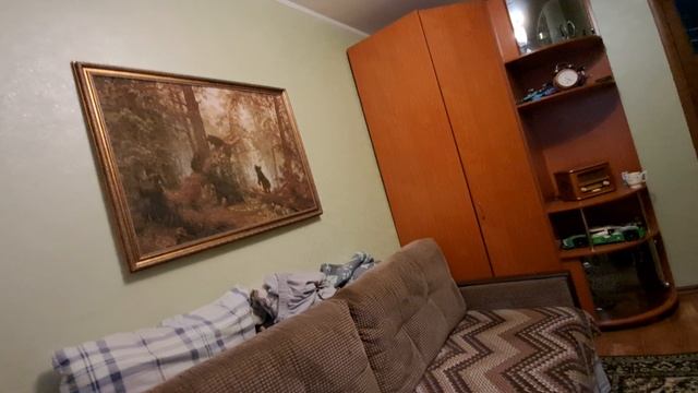 камера SONY