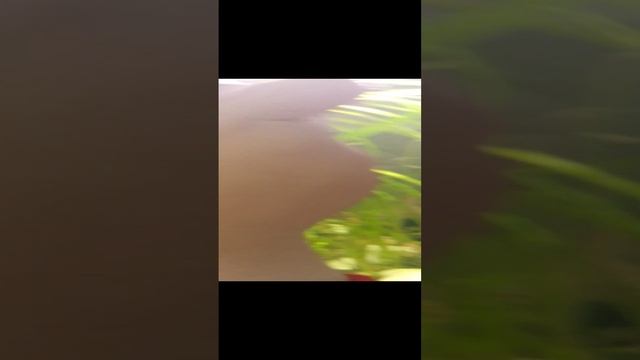 1000004625.mp4