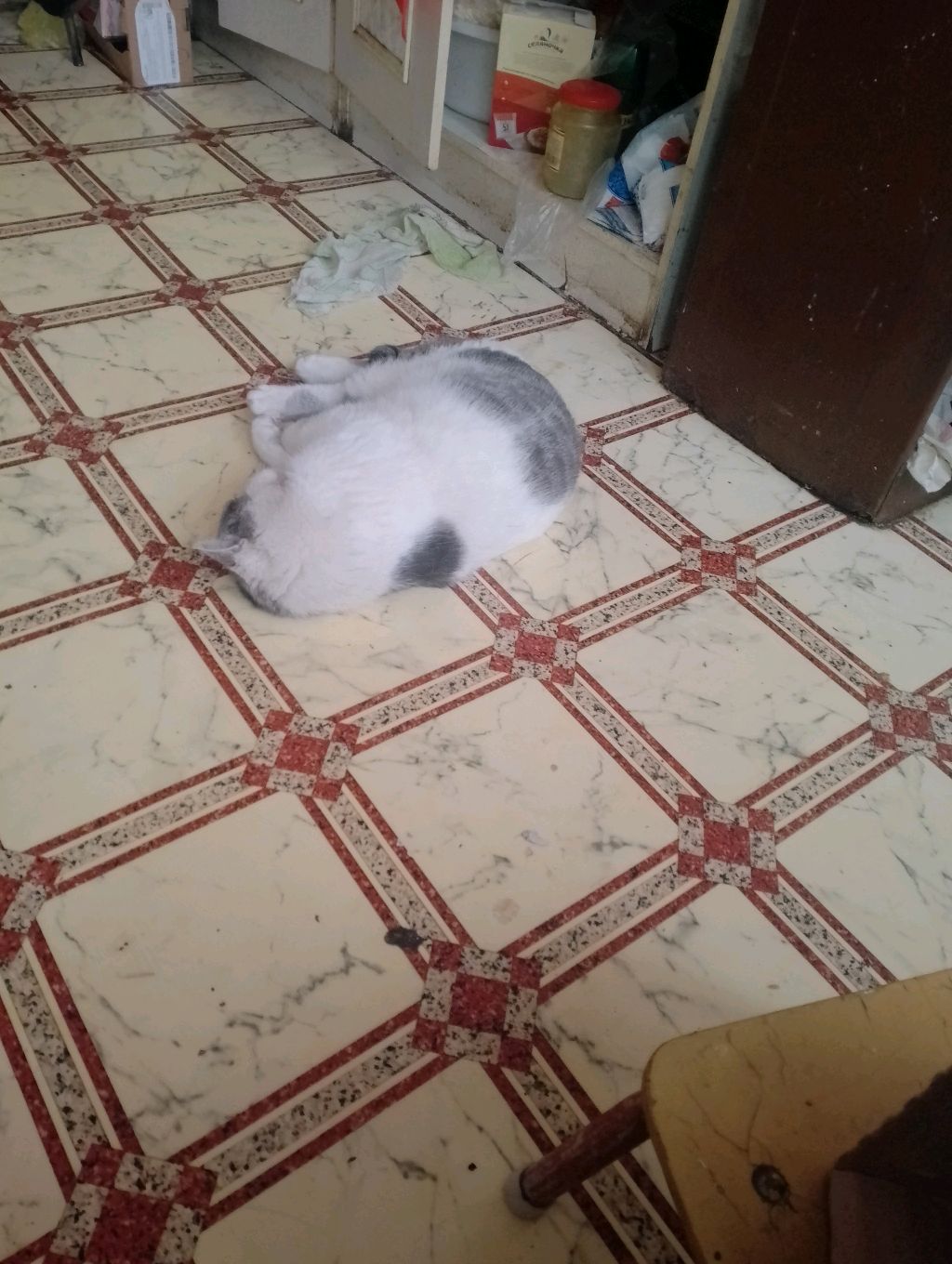 утро в деревне