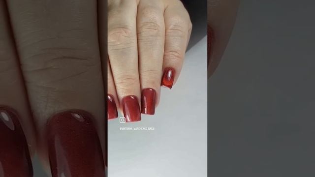 Special red cat's 😻