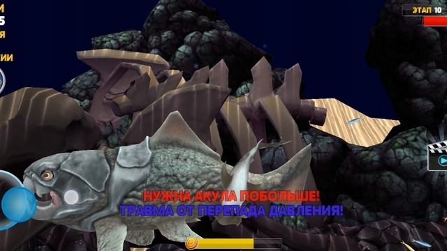 играю в игру акула крутая секретка?