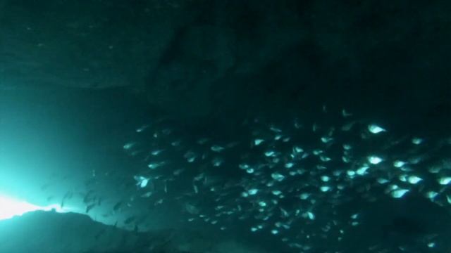Dive in Bay of Pigs, Cuba