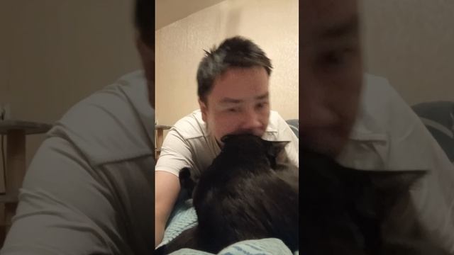 scene_output.mp4