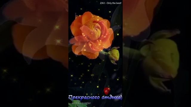 Доброй ночи!) Нежных снов)