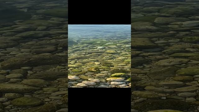 Берег Моря в штиль с небольшой рябью