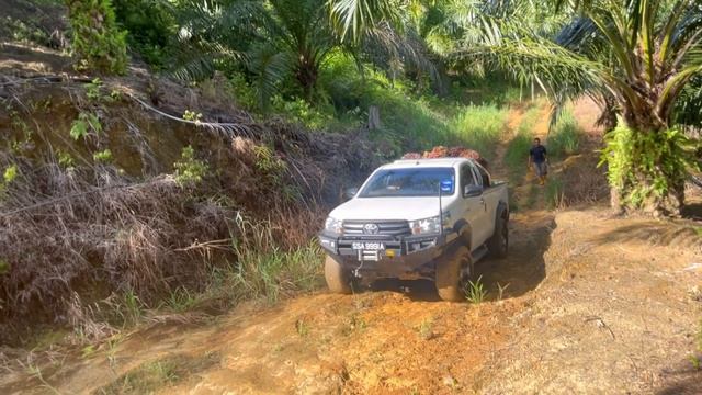 Toyota Single Cab Sesuai utk.Pekebun Kecil Sawit