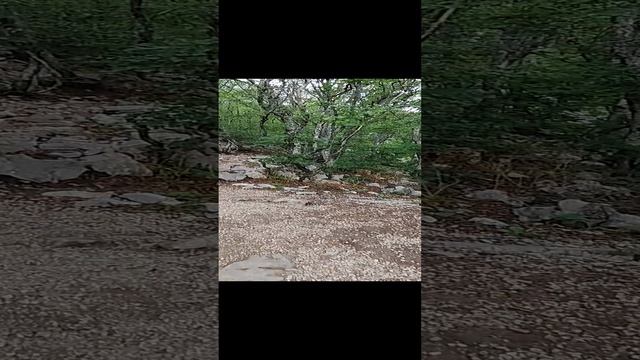 Горы