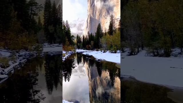 Зимняя красота