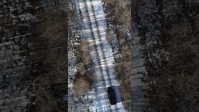 дорога в тишину