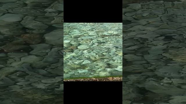 Морские волны, шум моря и красивый берег