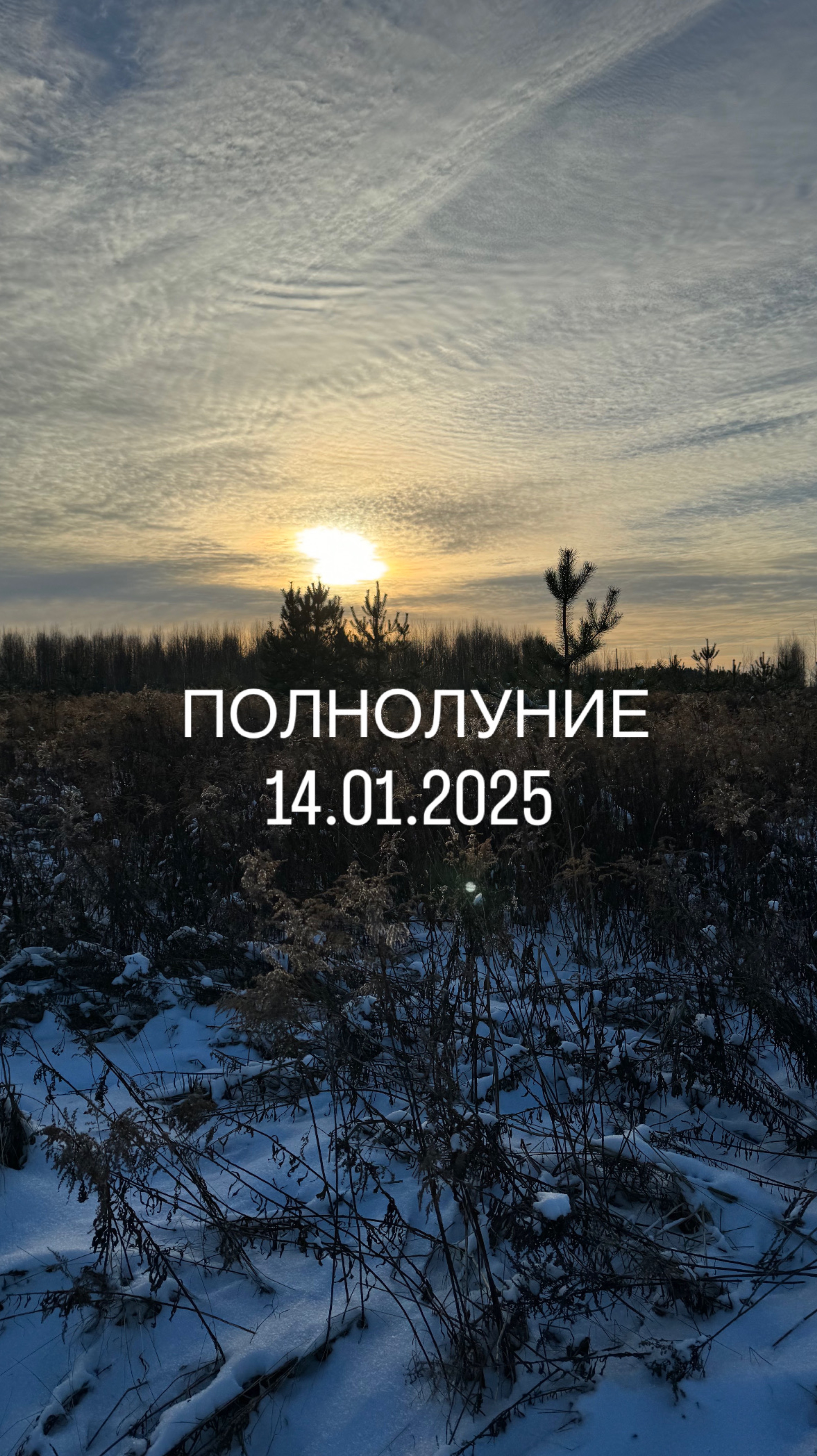 Полнолуние 14.01.2025