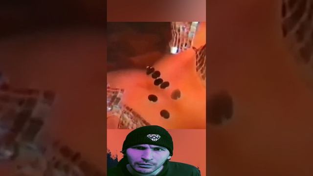 #девушка #танецживота