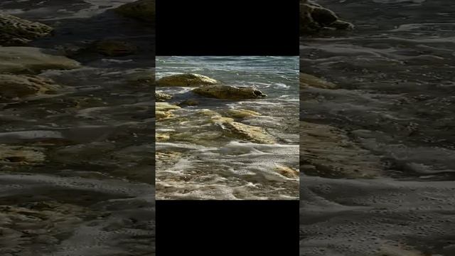 Берег Моря с волнами, с морским шумом, с прозрачной водой, с камушками
