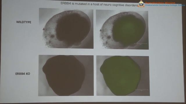 One day seminar on  ''Science and the music''     Part -1