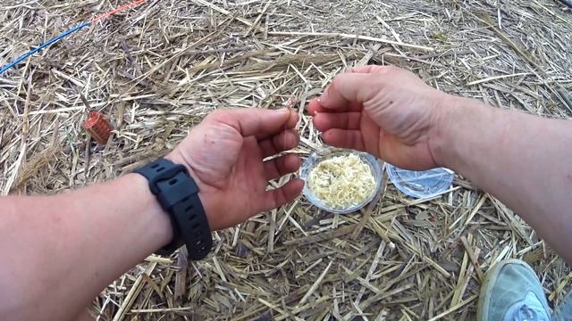 САЗАНЧИКИ АТАКУЮТ ФИДЕРНУЮ СНАСТЬ.