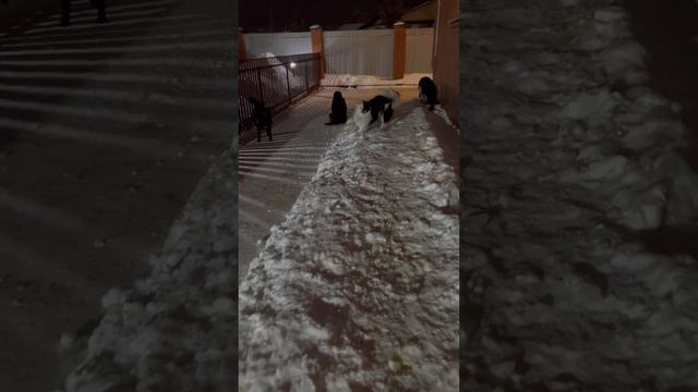 Берта 🥰