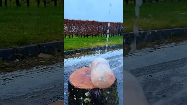 Тест петард! Прикольно взрываются!