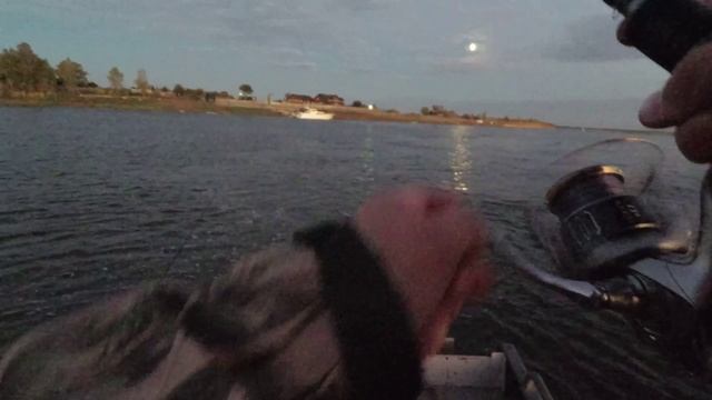 Первые ночные судаки