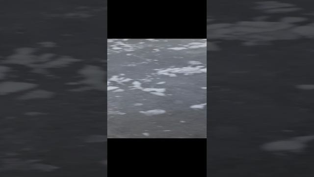 находки во льдах моего города