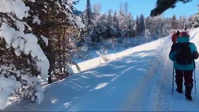 Горно - Алтайск от Галины 14.01.25.