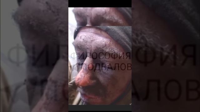 повар или водитель