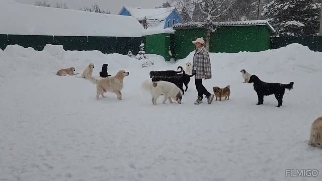 А снег всё падал, музыку творя,И каждый миг казался вечным вальсом....