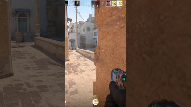 Zeus25011409