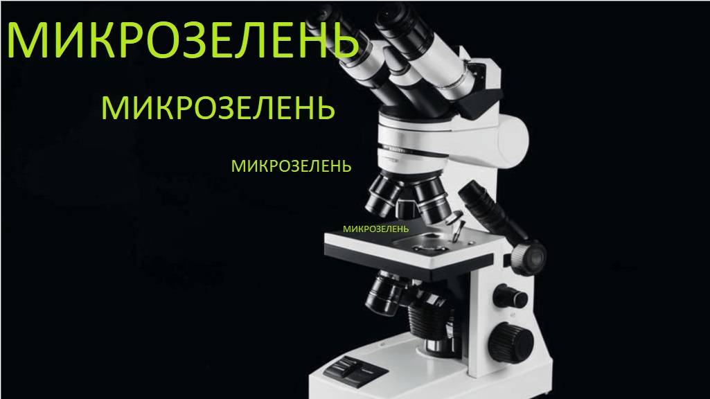 2025-01-14 МИКРОЗЕЛЕНЬ