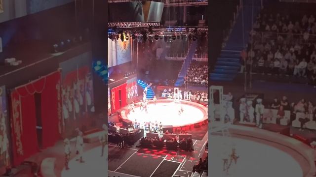 Стойкий оловянный солдатик