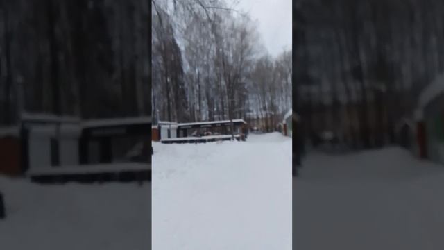 VID-20250114-WA0029