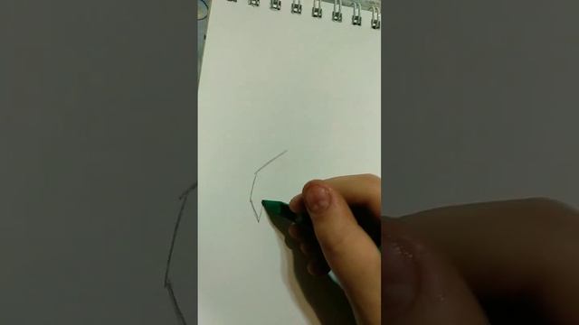 как нарисовать череп животного