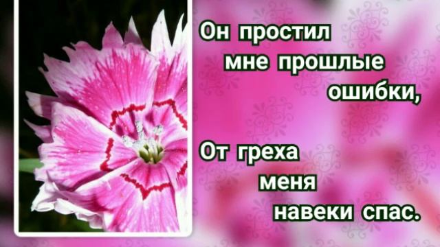 158 Каждый день и каждое мгновенье (-)