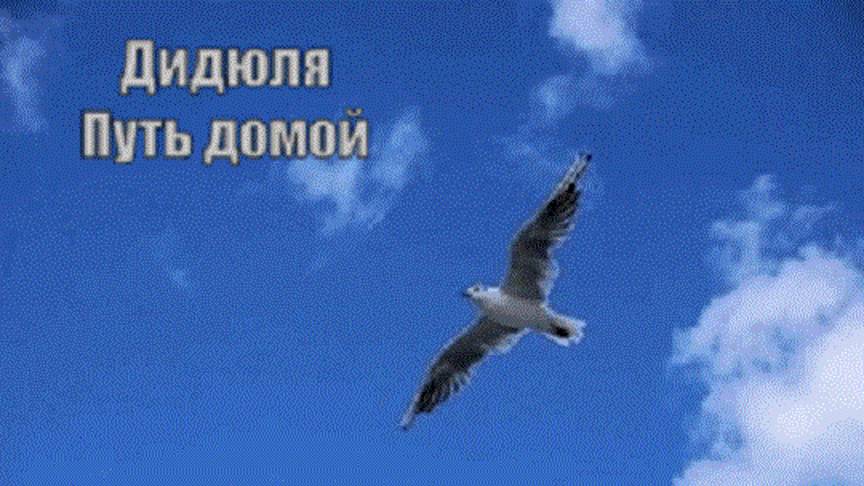 Дидюля - Путь домой