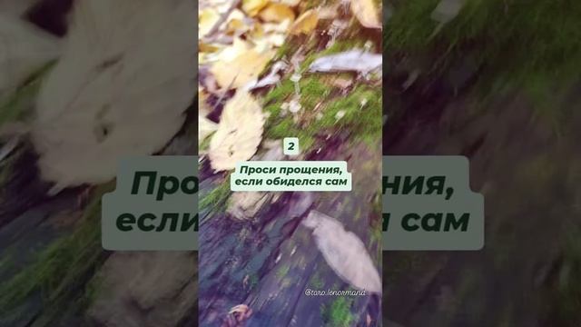 Принцип прощения🙏💜
t.me/tarot_healing
#прощение #любовь #благодарность #саморазвитие #духовныйрост