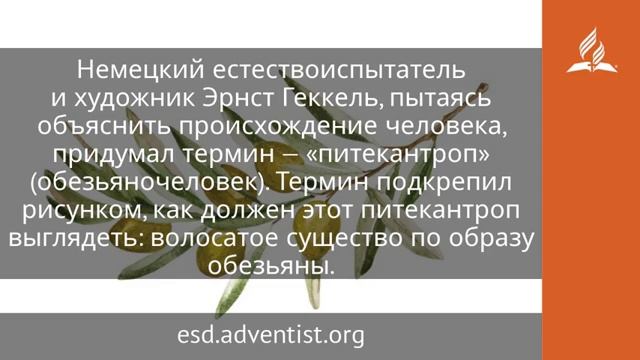 16 января 2025 Почти ангелы. Под сенью благодати. Адвентисты