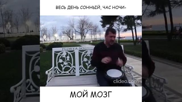 Мой мозг