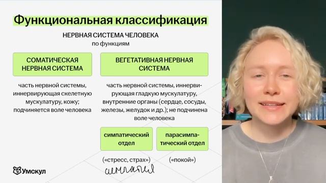 Симпатическая и парасимпатическая нервная система | Биология ОГЭ I Умскул