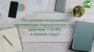 Действия организации по ПОД ФТ в начале года